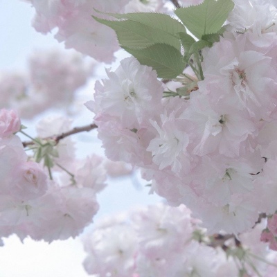 Furry绘画光影灵感兽圈社群